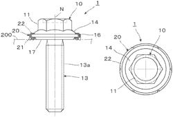 THREADED FASTENER, AND FUNCTION ADDITION MEMBER OF THREADED FASTENER