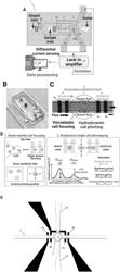 METHOD AND SYSTEM FOR SINGLE-CELL BIOPHYSICAL PROFILING USING A MICROFLUIDIC DEVICE