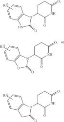 Substituted piperidine Degronimers for Target Protein degradation