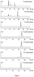 Pharmacokinetics and cholecystokinin-2 receptor (CCK2R) targeting for diagnosis and therapy