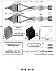 Rapid antimicrobial susceptibility testing by video-based object scattering intensity detection