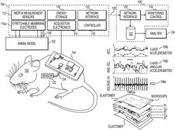 SYSTEMS AND METHODS OF USING NANOMEMBRANE ELECTRONICS