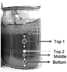 ENHANCED FLOCCULATION OF INTRACTABLE SLURRIES USING SILICATE IONS