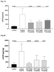 Novel Anti-Sema3a Antibodies And Uses Thereof