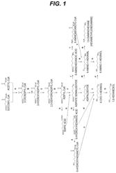 RECOMBINANT MICROORGANISM HAVING DIAMINE PRODUCING ABILITY AND METHOD FOR MANUFACTURING DIAMINE