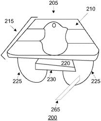 SYSTEMS AND METHODS FOR USE OF CAPACITIVE MEMBER TO PREVENT CHIP FRAUD