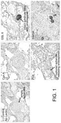 Antigen-driven detection and treatment of coccidioidomycosis