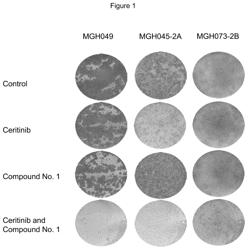 Pharmaceutical combination comprising an ALK inhibitor and a SHP2 inhibitor