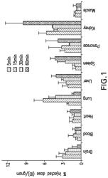 Radiolabeled microtubule imaging compounds and uses thereof