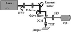 Method of measuring diffusion in a medium