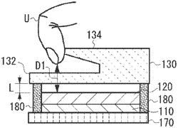 Input display device