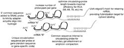 Next-Generation Volumetric in Situ Sequencing