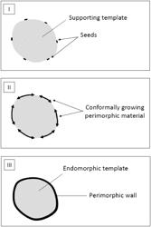 OXYANIONIC TEMPLATES FOR SURFACE REPLICATION