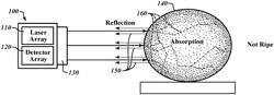 HANDHELD OBJECT ASSESSMENT SYSTEM AND METHOD