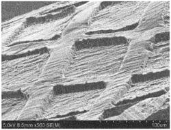 LITHIUM METAL PATTERNING AND ELECTROCHEMICAL DEVICE USING THE SAME