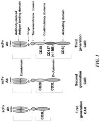 BCMA-CAR-T cells