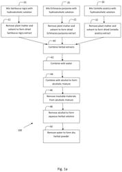 Methods for preparing anti-inflammatory herbal extracts comprising