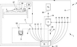 Device for the continuous monitoring of blood characteristic quantities in an external cardiovascular supporting circuit