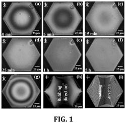 Polymer stabilized paraboloid liquid crystal microlenses array with integrated pancharatnam-berry phase