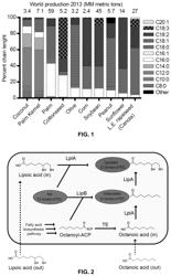 Mutant thioesterases