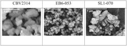 STABLE PRODUCT OLIGOMER SELECTIVITY FROM OLEFIN OLIGOMERIZATION ON ZSM-5 ZEOLITES AND ZEOTYPES