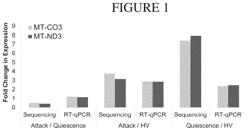 RNA BIOMARKERS FOR HEREDITARY ANGIOEDEMA