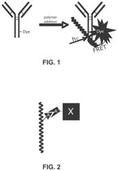 Novel Reagents for Directed Biomarker Signal Amplification