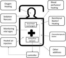 Whole-body hyperthermia system