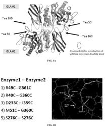 Disulfide bond stabilized polypeptide compositions and methods of use