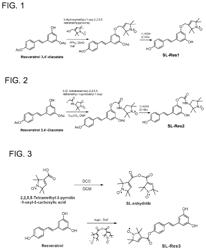 Nitroxide containing amyloid binding agents for imaging and therapeutic uses