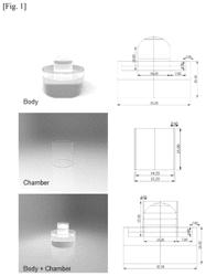 Partially cured contact lens-type amniotic membrane dressing and method of manufacturing same