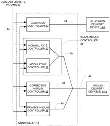 Blood glucose control system