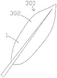 LEAF VEIN ABSORPTION METHOD AND FUNCTIONAL MODIFICATION MATERIAL FOR PLANT