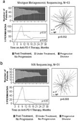 COMPOSITIONS AND METHODS FOR DETERMINING RESPONSIVENESS TO IMMUNE CHECKPOINT INHIBITORS (ICI), INCREASING EFFECTIVENESS OF ICI, AND TREATING CANCER