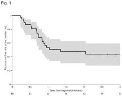 Recombinant Mycobacterium as an Immunotherapeutic Agent for the Second-Line Therapy of Bladder Carcinoma