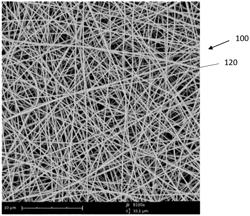 ELECTROSPUN POLYMERIC NANOFIBER FILTER MATERIAL AND DEVICES