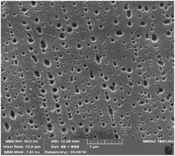 MEMBRANE PERMEATION GAS SEPARATION METHOD