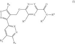 ISOXAZOLYL ETHER DERIVATIVES AS GABA A ALPHA5 PAM