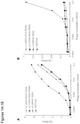 DUAL SPECIFIC ANTIBODIES