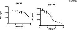 Treatment of Cardiovascular Disease with TREM-1 Antigen Binding Proteins