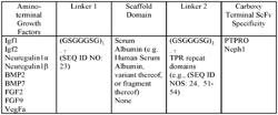 CHIMERIC PROTEINS FOR TARGETED DELIVERY OF GROWTH FACTORS TO THE GLOMERULUS