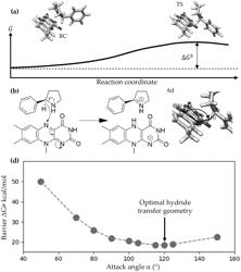 METHODS FOR ENZYME ENGINEERING