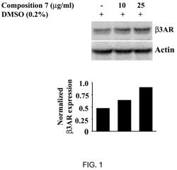 Compositions for improving lean body mass, brown adipose tissue and for inhibiting advanced glycation ends product