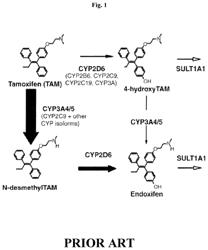 Methods for making and using endoxifen