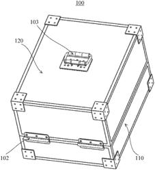 Portable visual inspection apparatus and method for inspecting article