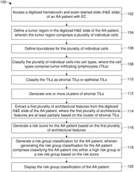 Computational features of tumor-infiltrating lymphocyte (TIL) architecture