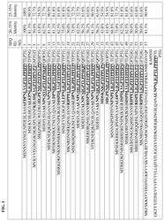 COMPOSITIONS COMPRISING RECOMBINANT BACILLUS CELLS AND A FUNGICIDE