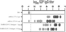 MRNA VACCINES ENCODING FLEXIBLE CORONAVIRUS SPIKE PROTEINS