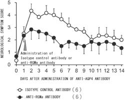 AGENT FOR PREVENTING OR TREATING ACUTE-PHASE NEUROMYELITIS OPTICA