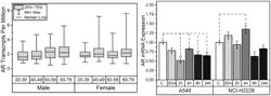 Repurposing anti-androgen therapy for COVID-19 and immunotherapy